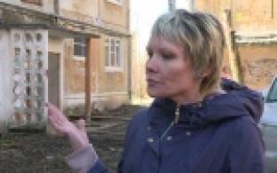 Не поделили собаку