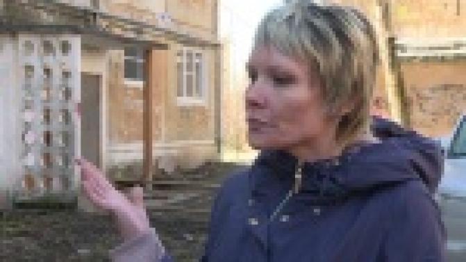 Не поделили собаку