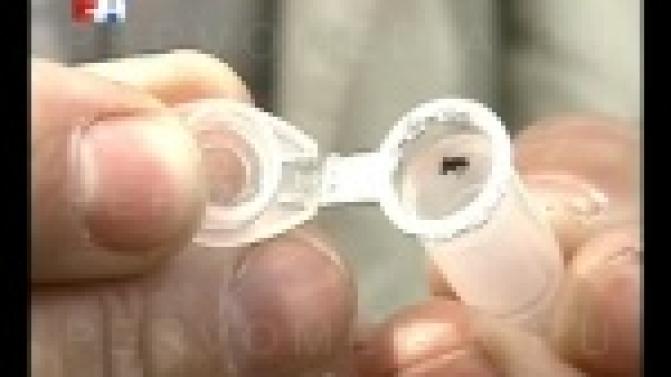 В Первоуральске открыт сезон активности клещей