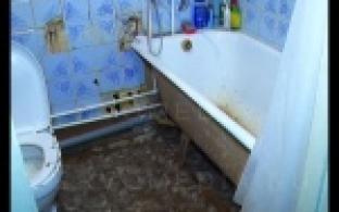 Деньги, может, и не пахнут, но долги точно имеют дурной душок