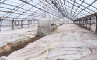 В совхозах активно готовятся к посевной