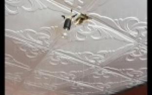 Коммунальный ребус пытаются разгадать первоуральские специалисты.