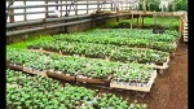 Порядка двенадцати миллионов рублей первоуральские аграрии потратят на закупку удобрений.