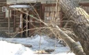 В Первоуральске приступили к устранению последствий шквалистого ветра