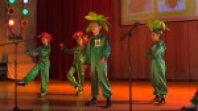 Зачем нужны комнатные растения и как лечиться с помощью животных?