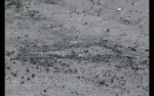 Обычная прогулка для жительницы Первоуральска обернулась серьёзными травмами.