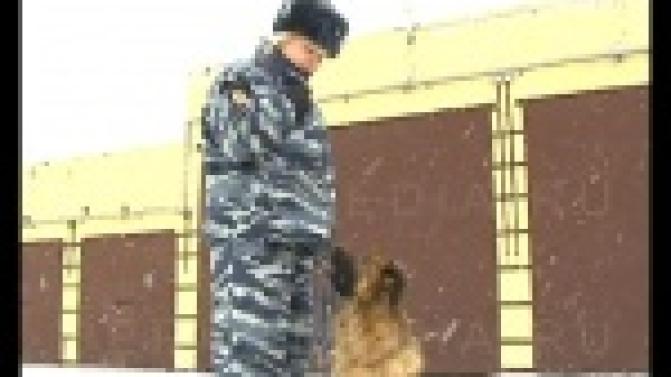 Главное - не упустить время.