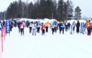 Белые металлурги в очередной раз продемонстрировали свою любовь к спорту