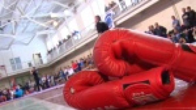 На стадионе "Уральский Трубник" прошел областной чемпионат по панкратиону