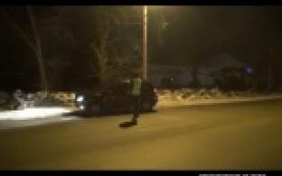 Пьяных водителей ловили инспекторы дорожного движения