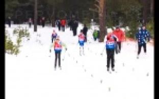 Они - надежда лыжного спорта и будущие чемпионы.