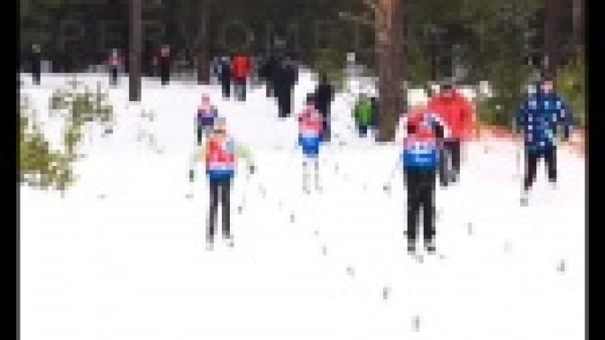 Они - надежда лыжного спорта и будущие чемпионы.