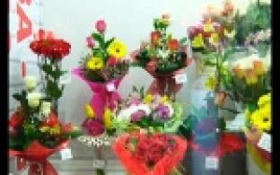 В канун Дня всех влюблённых компания молодых людей разгромила цветочный ларёк.