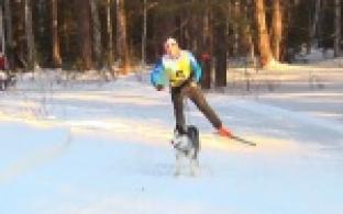 Фок "Гагаринский" стал местом сбора собак и их владельцев