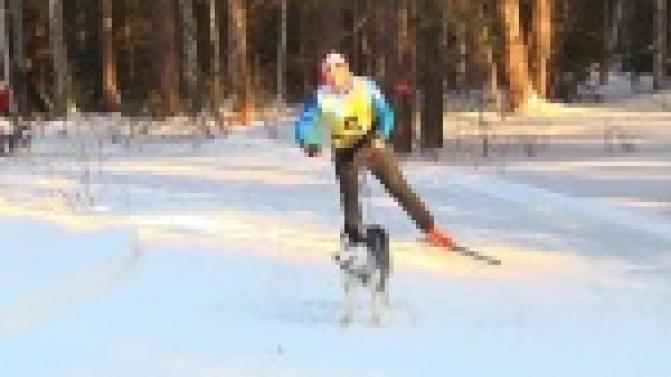 Фок "Гагаринский" стал местом сбора собак и их владельцев