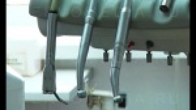 Представители этой профессии заглядывают в рот, чтобы помочь.