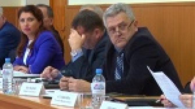 Судьбу бездомных собак решали депутаты