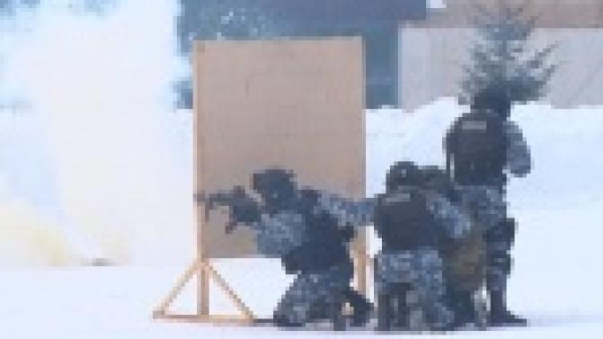 Любое задание в любое время