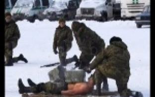 По плечу задания любой сложности.