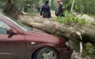 Трясло, штормило, заливало...