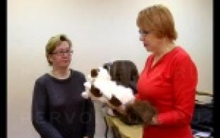 Первоуральцы дарят надежду тем, кому уже уже, казалось бы, не на что надеяться