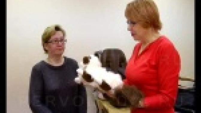 Первоуральцы дарят надежду тем, кому уже уже, казалось бы, не на что надеяться