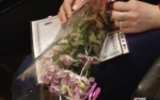 Рассчитывать на господдержку смогут и дальше