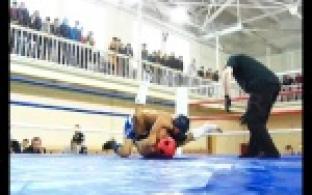 Различные виды спорта - на одном ринге.