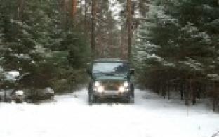 На усиленный режим раборты переходят первоуральские лесничества