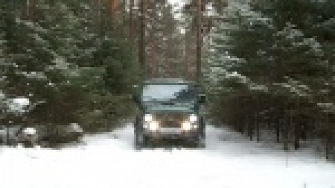 На усиленный режим раборты переходят первоуральские лесничества