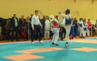 Юбилейный 20-тый турнир по тхэквондо состоялся в Первоуральске