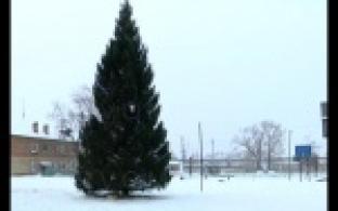 Почти детективная история произошла в Коуровке