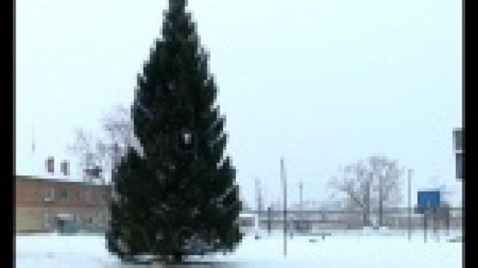 Почти детективная история произошла в Коуровке