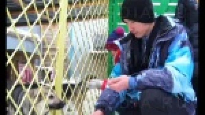 В Первоуральске организовали День добрых дел.