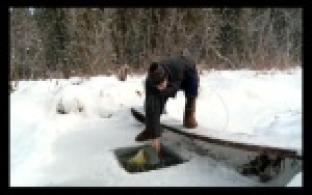 Если паришься - плати