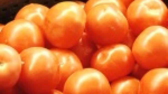 В Министерстве России утвердили список турецких продуктов, запрещенных для ввоза в нашу страну