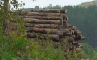 Халатность взрослого привела к гибели ребенка