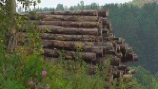 Халатность взрослого привела к гибели ребенка