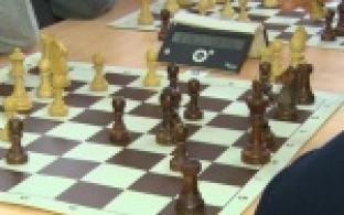 Своя шахматная сборная может появиться в Первоуральске