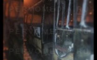 Вытащила детей из горящего автобуса.