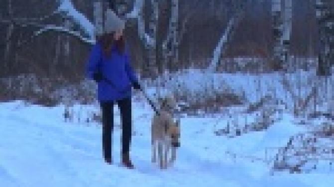 Акция "Ищу тебя, хозяин"