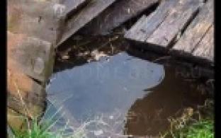 Жителям Слободы в буквальном смысле приходится добывать воду.