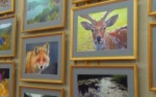 Две фотовыставки открылись в музее истории Новотрубного завода