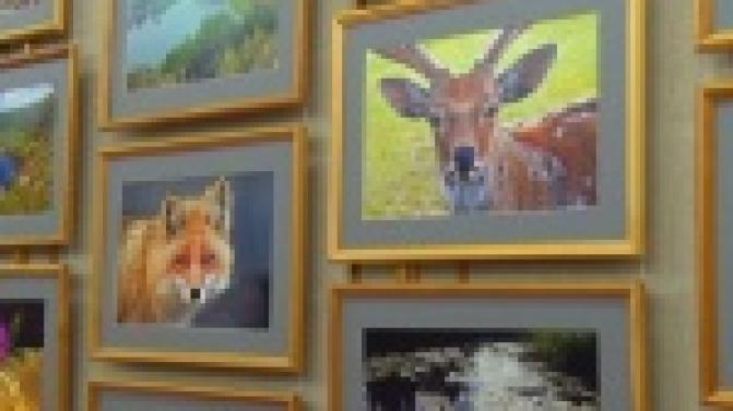 Две фотовыставки открылись в музее истории Новотрубного завода