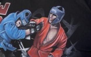 Смешанные единоборства станут доступны для горожан