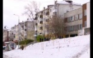 Специалисты лесного хозяйства Первоуральска контролируют, как растут саженцы