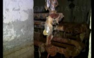 История затопленного первоуральского подвала получила неожиданное продолжение.