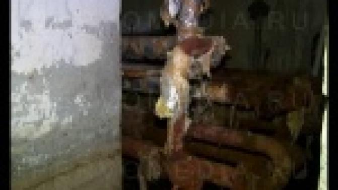 История затопленного первоуральского подвала получила неожиданное продолжение.