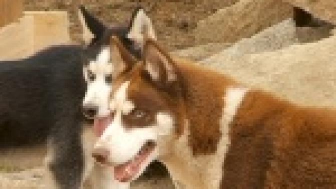 Новое развлечение вскоре ждет всех посетителей парка культуры и отдыха