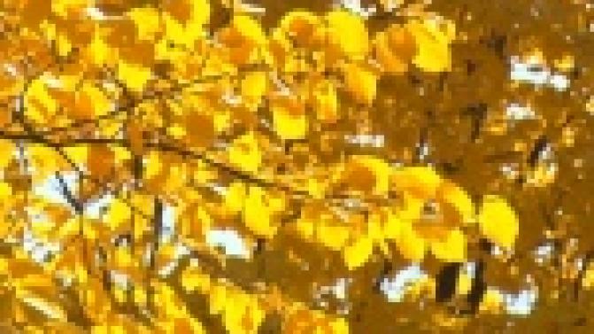 Уральский сентябрь все же подарил горожанам на прощание несколько теплых дней